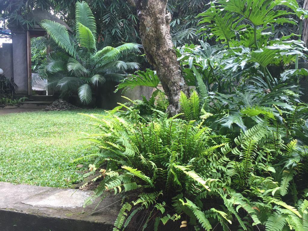 Kiyan Teges Ubud Hotel Esterno foto